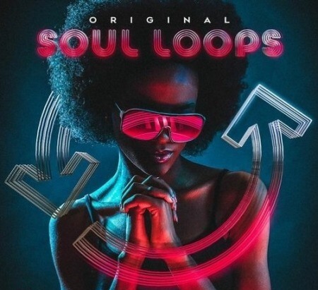 2DEEP Original Soul Loops WAV